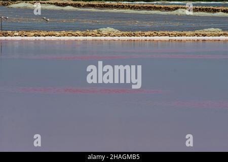 Lagunas de las Salinas del Pinet in der Provinz Alicante Stockfoto