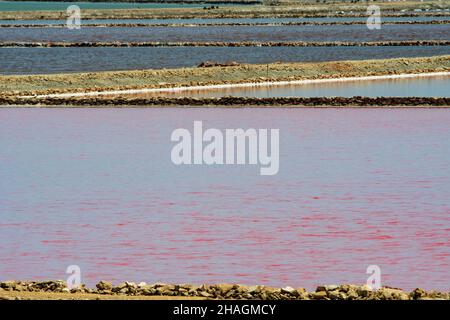 Lagunas de las Salinas del Pinet in der Provinz Alicante Stockfoto