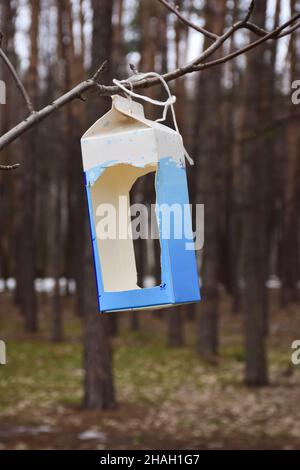 Ein selbstgemachter Vogelfutterhäuschen, geschnitten aus einer Pappschachtel Milch, hängt an einem Zweig im Park. Stockfoto