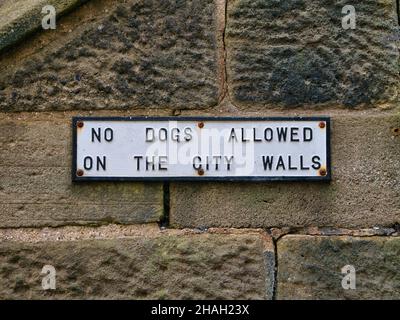 Ein altes gusseisernes schwarz-weißes Schild, das an einer Sandsteinmauer befestigt ist, weist darauf hin, dass an den Stadtmauern in York, Yorkshire, England, Großbritannien, keine Hunde erlaubt sind Stockfoto