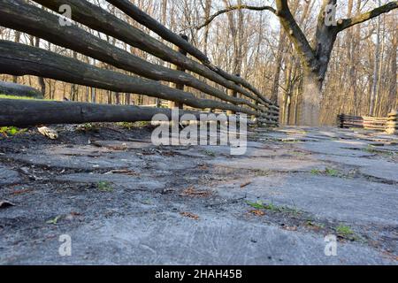 In der Nähe eines Holzzauns aus Baumstämmen befindet sich ein Gehsteig aus vielen runden Holzstümpfen im Boden. Im Hintergrund ein Baum und ein Park Stockfoto