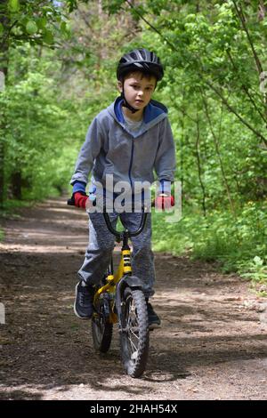 Ein Junge fährt mit einem gelben Fahrrad auf einem Waldweg in einem Sporthelm und roten Handschuhen. Vorderansicht Stockfoto