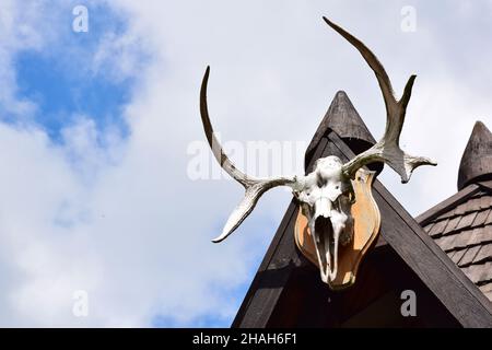 Rechts hängt ein dekorativer Hirschschädel mit großem Geweih auf dem Holzdach des Hauses. Auf der linken Seite, gegen den blauen Himmel, gibt es ein leeres s Stockfoto