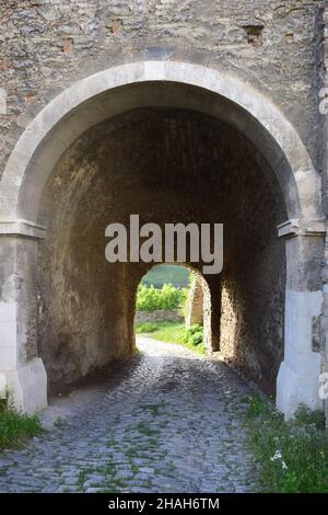 Verlassen Sie das Schloss oder die Festung. Korridor mit Blick auf den grünen Wald. Es gibt kein Tor, nur einen Bogen. Bedeckt mit rauem Stein. Stockfoto