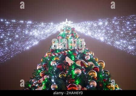 Beleuchtete Christmassenbaum in der Nacht Stockfoto