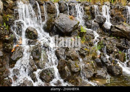 Wasserströme fließen in Strömen über nasse Steine. Der Hintergrund für den gesamten Rahmen. Stockfoto