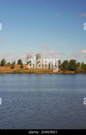 Die Herbstbäume, die am Ufer des Sees bei strahlendem Sonnenschein wachsen. Stockfoto