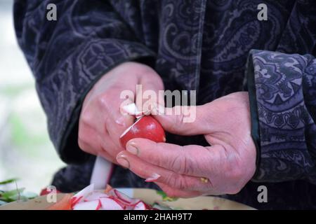 Eine alte Frau schneidet Tomaten und Radieschen in Scheiben zu einem Salat. Nicht erkennbare Person Stockfoto