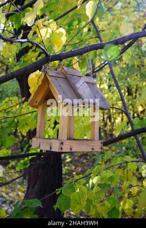 Hausgemachtes Vogelfutterhäuschen aus Holz, das an einem grünen Zweig im Park hängt Stockfoto