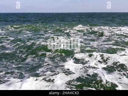 Brodelnden Meereswellen bedeckt mit Schaumbrechern bis zum Horizont. Und auch ein klarer Himmel ohne Wolken Stockfoto