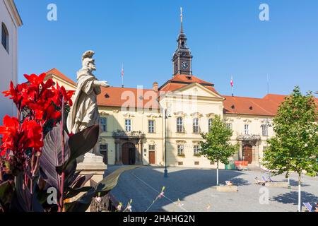 Brünn (Brünn): Neues Rathaus, in , Jihomoravsky, Südmähren, Südmähren, Tschechisch Stockfoto