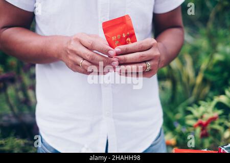 Die Hände eines Mannes, der einen geöffneten roten Umschlag oder ein rotes Paket mit den Namen Ang Pao oder Ang Pow hält, auch Hongbao oder Hungbao in Mandarin und Lai See in Kantonesisch. Stockfoto