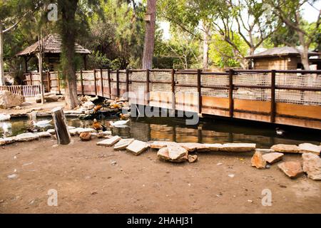 Limassol, Zypern - 12. Dezember 2021 Limassol Zoo, einer der größten in Europa und beherbergt schöne und interessante Tiere, natürlich aussehende Lebensräume Stockfoto