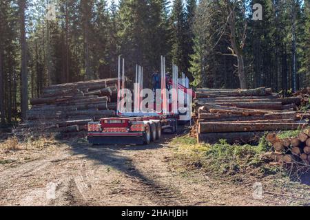 Holztransporter mit Anhänger bei einem Holzlager im Wald Stockfoto