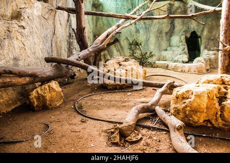 Limassol, Zypern - 12. Dezember 2021 Limassol Zoo, einer der größten in Europa und beherbergt schöne und interessante Tiere, natürlich aussehende Lebensräume Stockfoto