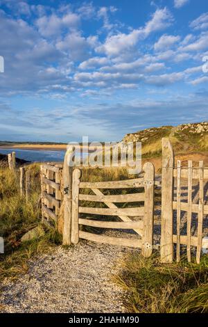 Ein geschnitztes Tor auf Ynys Llanddwyn am Newborough Beach, Isle of Anglesey, Nordwales Stockfoto