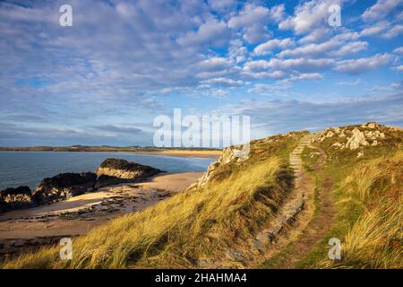 Schritte entlang des Fußweges auf Llanddwyn Island auf der Isle of Anglesey, Nordwales Stockfoto