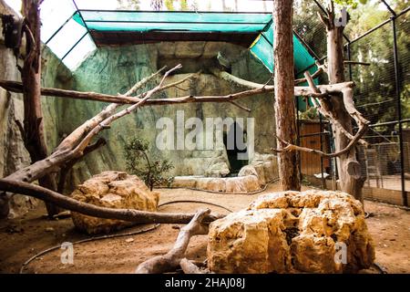 Limassol, Zypern - 12. Dezember 2021 Limassol Zoo, einer der größten in Europa und beherbergt schöne und interessante Tiere, natürlich aussehende Lebensräume Stockfoto