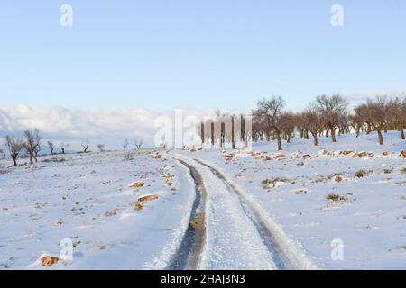 Verschneite Landstraße, zwischen Bauernhöfen Stockfoto