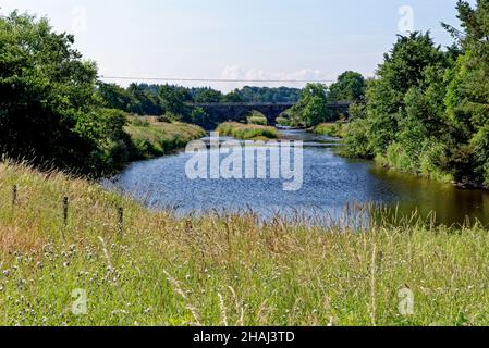 Laigh Milton Viadukt. Milton Bridge - Gatehead Viaduct, das älteste erhaltene öffentliche Eisenbahnviadukt der Welt, wurde 1812 erbaut. Schottland, Ayrshire Stockfoto