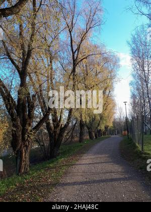 Vertikale Aufnahme eines Pfades, der im Herbst von Bäumen umgeben ist, Helsinki, Finnland Stockfoto