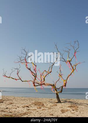 Ein geschmückter trockener Baum am Meer, Blick von einem Strand in Kerala, indien Stockfoto