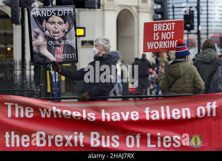 London, Großbritannien. 8th Dez 2021. Regierungsfeindliche Demonstranten auf dem Parliament Square kämpfen gegen die Folgen des Brexit und dessen, was sie als Regierung betrachten Stockfoto