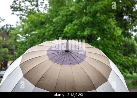 Regenschirm mit Regentropfen und grünen Blättern im Regen. Regnerisches Wetter im Frühling Stockfoto