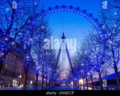 London Eye mit weihnachtlich festlichen blauen glitzernden Baumlichtern bei Sonnenuntergang South Bank London, England Stockfoto