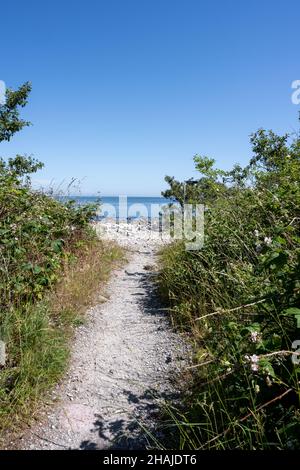 Ein aus dem Gras geschnitzter Naturpfad, umgeben von Wald, führt im Hintergrund zum Meer Stockfoto