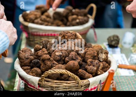 Zwei Weidenkörbe voller schwarzer Trüffel stehen auf einem Verkaufstisch auf dem Trüffelmarkt von Aups, Var-Department, Frankreich; Kunden greifen von oben in den vorderen Korb. Stockfoto