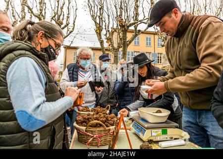 Der Trüffelmarkt in Aups (Frankreich) findet jeden Donnerstag von Anfang Dezember bis März statt. Der Trüffelmarkt von Aups ist der drittgrößte seiner Art in ganz Frankreich. Hier verkaufen die Trüffelhändler direkt an Endkunden. Anderswo im Trüffelhandel sind in der Regel interposed Großhändler. Der Preis für die schwarze Wintertrüffel liegt zu Beginn der Saison bei rund 600 Euro pro Kilo und steigt bis Weihnachten auf rund 1.000 Euro pro Kilo. Aups, Frankreich Stockfoto