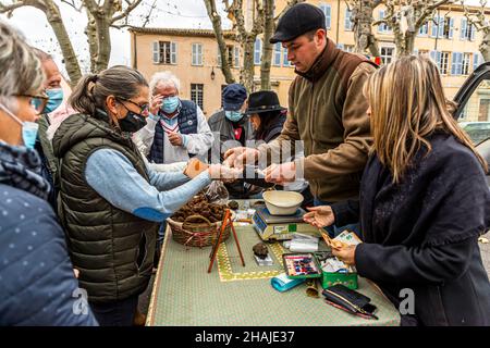 Der Trüffelmarkt in Aups (Frankreich) findet jeden Donnerstag von Anfang Dezember bis März statt. Der Trüffelmarkt von Aups ist der drittgrößte seiner Art in ganz Frankreich. Hier verkaufen die Trüffelhändler direkt an Endkunden. Anderswo im Trüffelhandel sind in der Regel interposed Großhändler. Der Preis für die schwarze Wintertrüffel liegt zu Beginn der Saison bei rund 600 Euro pro Kilo und steigt bis Weihnachten auf rund 1.000 Euro pro Kilo. Aups, Frankreich Stockfoto