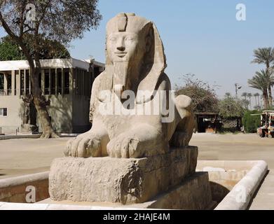 Die Sphinx von Memphis, Ägypten, ist aus einem weißen gelblichen Stein namens Calcit, der Alabaster sehr ähnlich ist, gemacht. Stockfoto