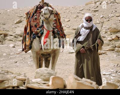 Badrsein, Ägypten - 25 2015. März - ein ägyptischer Kameltreiber und sein Kamel. Die Packung ist sehr bunt. Das Kamel sieht eigenmächtig aus Stockfoto