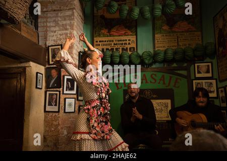 Flamenco-Vorstellung im El Pasaje tabanco in Jerez de la Frontera Stockfoto