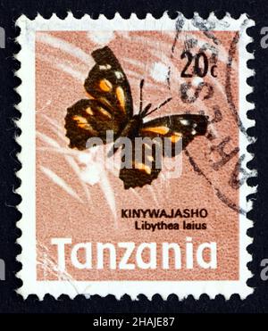 TANSANIA - UM 1973: Eine in Tansania gedruckte Briefmarke zeigt African Snout Butterflay, Libythea Laius, Insect, um 1973 Stockfoto