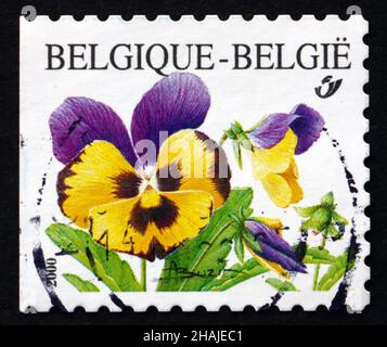 BELGIEN - UM 2000: Eine in Belgien gedruckte Marke zeigt Violetten, Stiefmütterchen, Viola Tricolor, Blumenpflanze, um 2000 Stockfoto