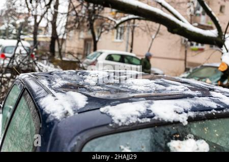 Tall Tree stürzte auf das Auto und zerquetschte es aufgrund eines starken Schneesturms Stockfoto