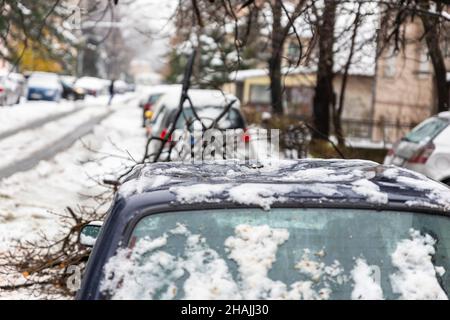 Tall Tree stürzte auf das Auto und zerquetschte es aufgrund eines starken Schneesturms Stockfoto