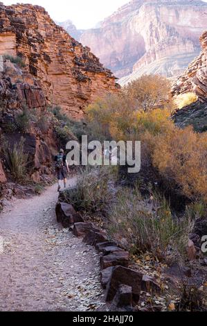 Wanderer mit Männern und Frauen auf dem Bright Angel Trail im Grand Canyon National Park Stockfoto