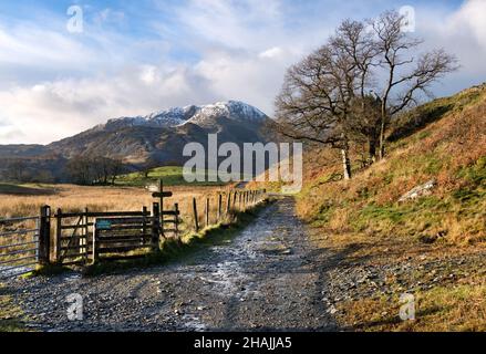 Blick auf die Tilberthwaite Fells von einem Fußweg in der Nähe von Little Langdale, Lake District National Park, Cumbria. Stockfoto