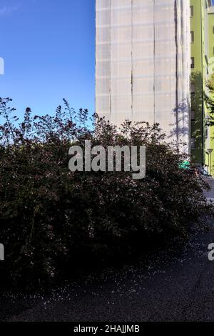 Blockierter Durchgang in einem Wohngebiet mit einem Gebäude, das an einem klaren Tag im Hintergrund gewartet wird Stockfoto