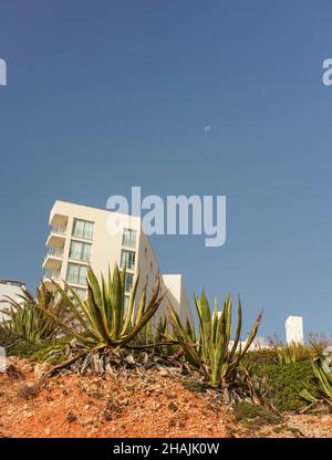 Blick auf einen kleinen Hügel mit grünen Blattpflanzen, weißes Hotelresortgebäude mit klarem blauen Himmel und Mondhintergrund Stockfoto