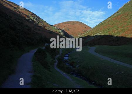Hundespaziergänger auf dem A-Pfad im Carding Mill Valley Stockfoto
