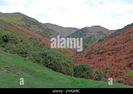 Erwachsene wandern durch die Hügel im Carding Mill Valley, Church Stretton, Shropshire Stockfoto