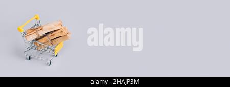 Banner mit Palo Santo Baumstäben im Warenkorb vor hellgrauem Hintergrund - heiliger Weihrauchbaum aus Lateinamerika. Meditation, geistige Gesundheit Stockfoto