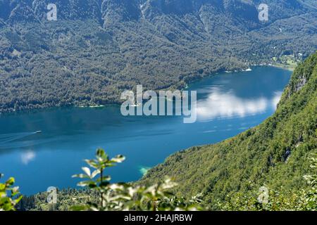 Schöner Blick auf den Bohinj See im Triglav Nationalpark in den slowenischen Julischen Alpen. Stockfoto