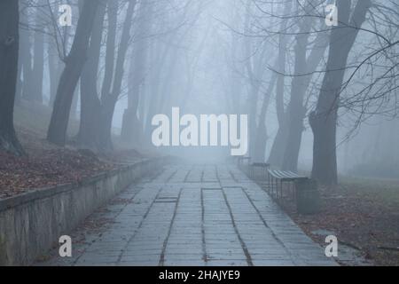 Park Gasse im Nebel. Herbsthintergrund. Stockfoto