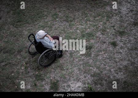 Ältere Frau, die in einem Rollstuhl vor einem Hintergrund aus Gras sitzt Stockfoto